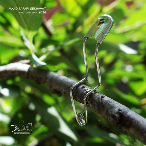 photo_2015-07-25_13-19-58