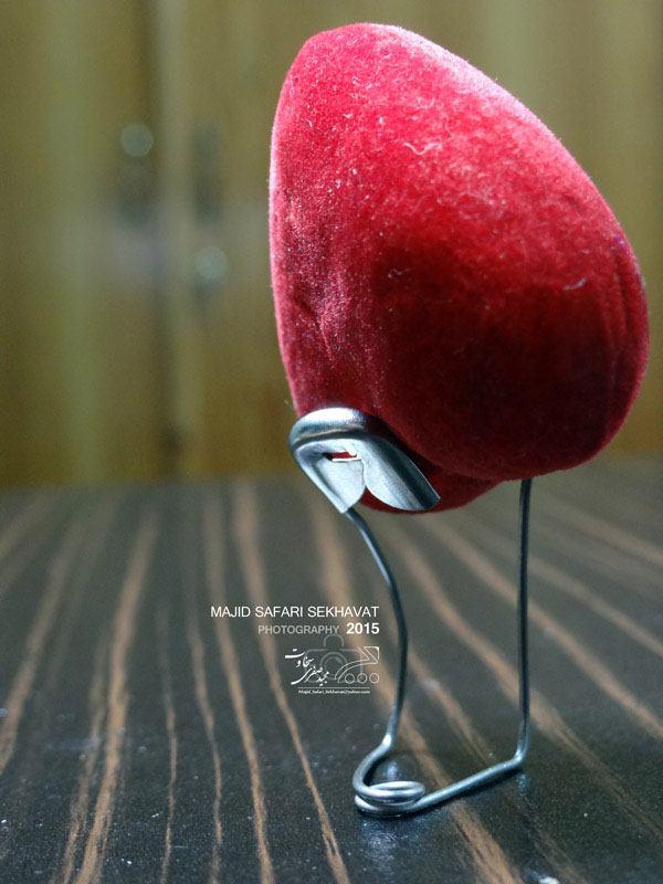 photo_2015-07-25_13-20-13