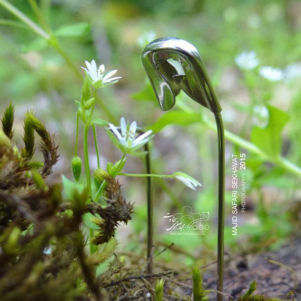 photo_2015-07-25_13-20-18