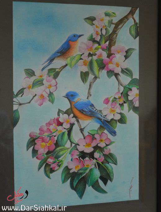 namayeshgah_naghashi_dar_siahkal (015)