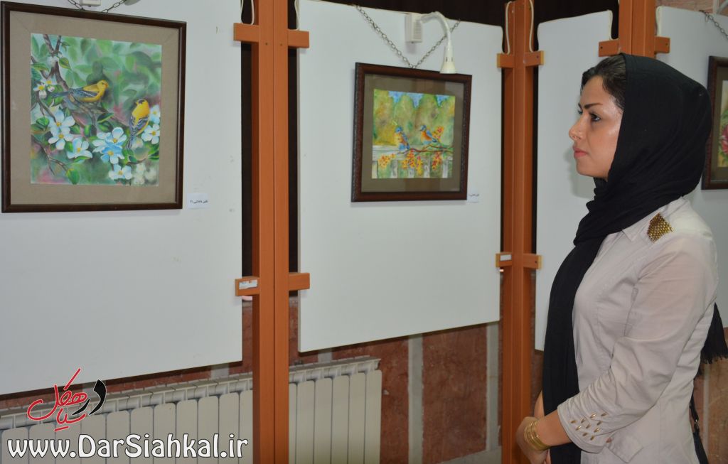 namayeshgah_naghashi_dar_siahkal (4)