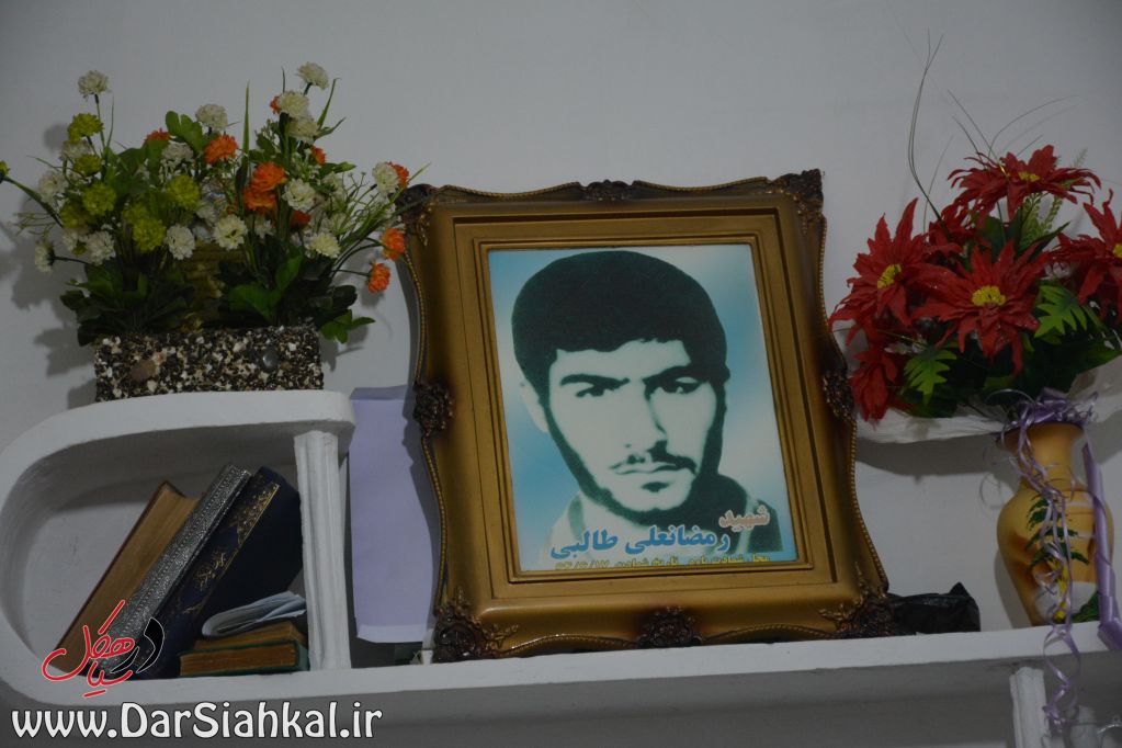 sardar_abdollahpor (8)