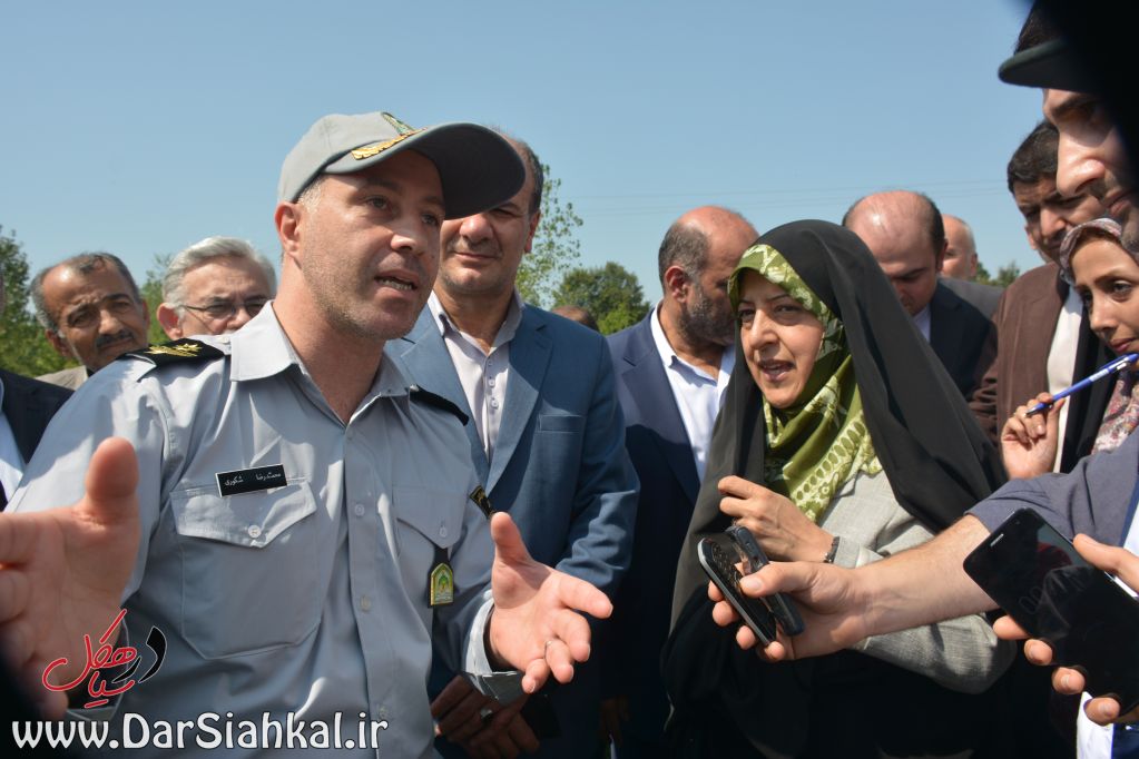 برداشت چوب از جنگل های طبیعی متوقف می شود/گله مندی از کارخانه سیمان دیلمان توسط مردم+گزارش تصویری