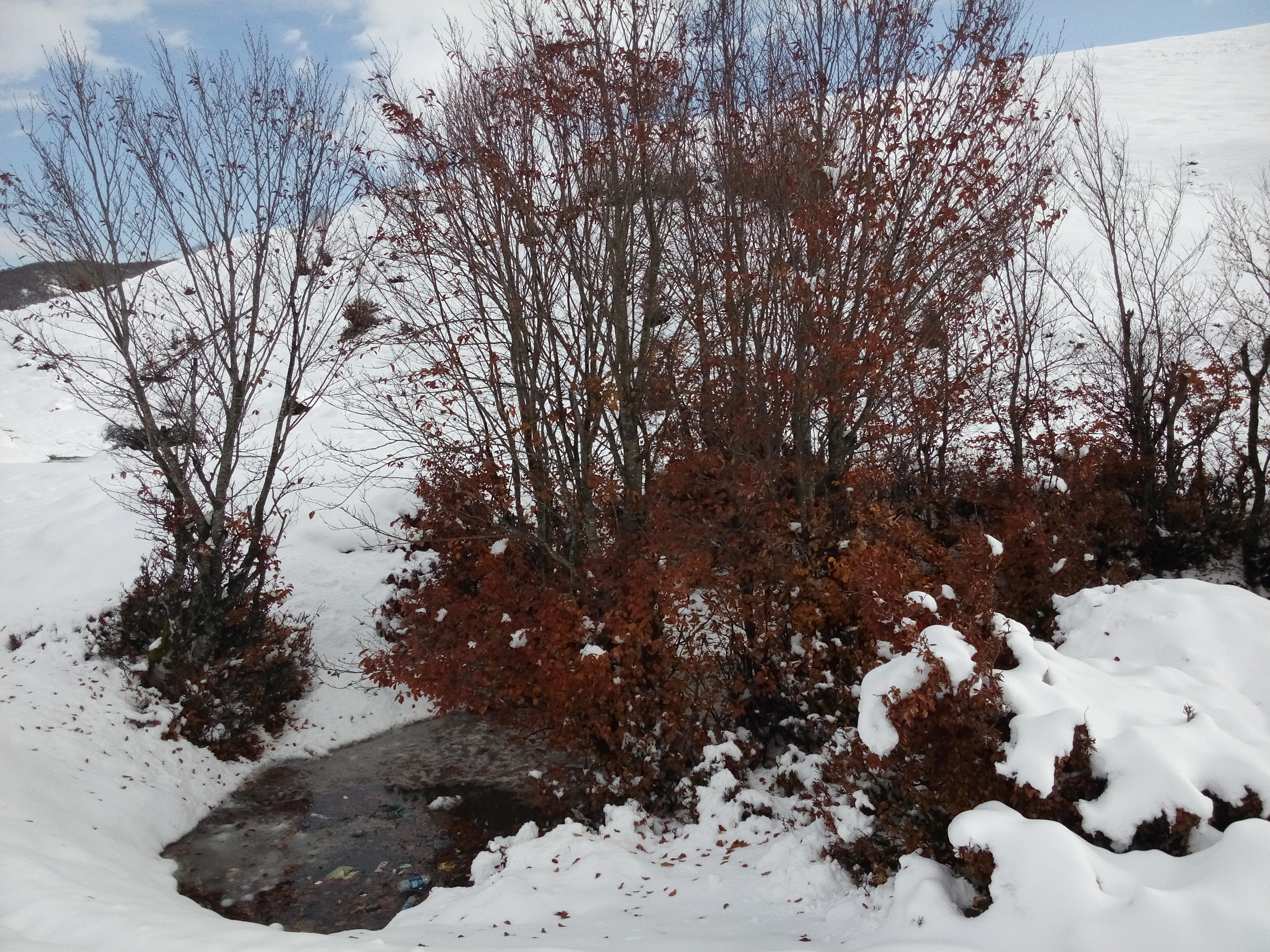 تفاوت پاییز با زمستان را در دیلمان تجربه کنید+گزارش تصویری