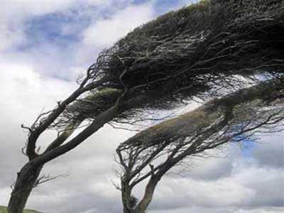 هشدار هواشناسی نسبت به وزش بادگرم و خطر آتش سوزی عرصه های جنگلی گیلان/ ثبت ۱۰ میلیمتر بارندگی در دیلمان