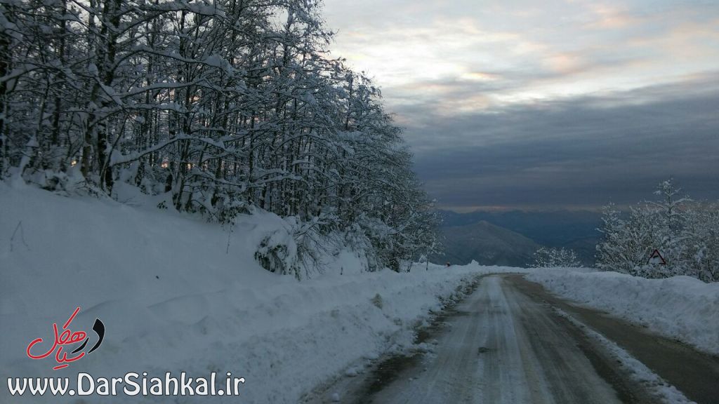 تصاویری زیبا از برف غافلگیر کننده دیلمان
