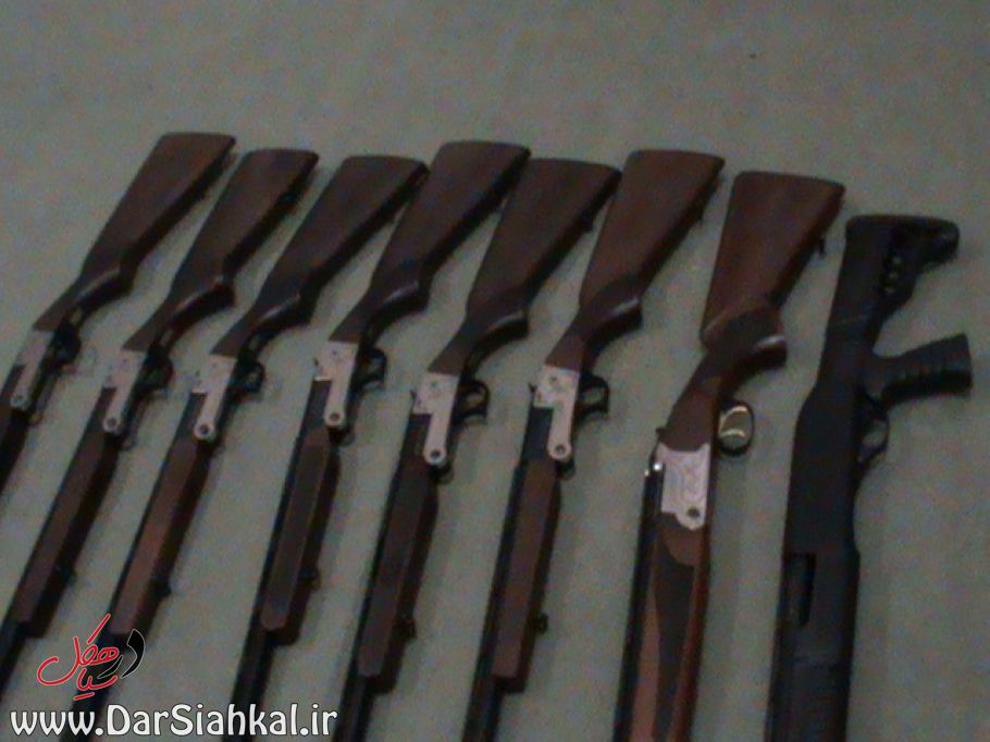 باند حرفه ای فروش سلاح شکاری در سیاهکل متلاشی شد+عکس