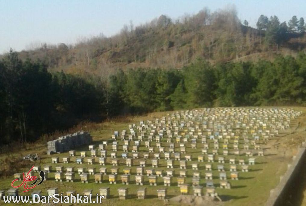 asberahan_dar_siahkal (10)