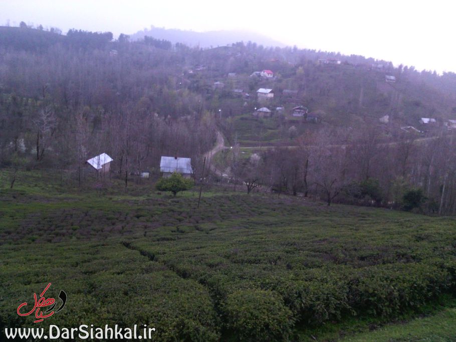 asberahan_dar_siahkal (5)