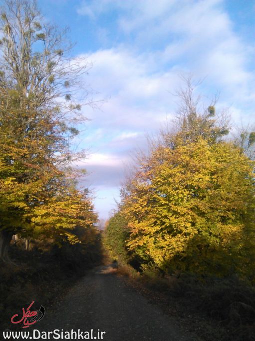 asberahan_dar_siahkal (7)