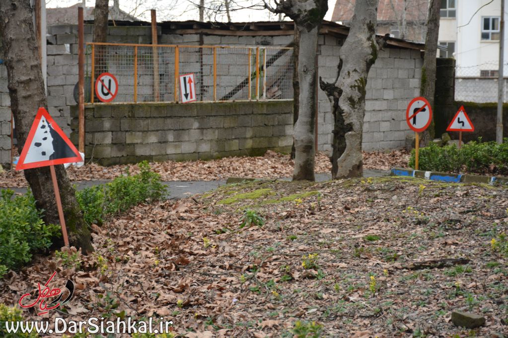 farmandar_ranandegi_dar_siahkal (10)