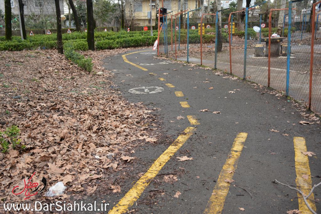 farmandar_ranandegi_dar_siahkal (3)