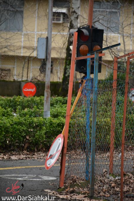 farmandar_ranandegi_dar_siahkal (6)