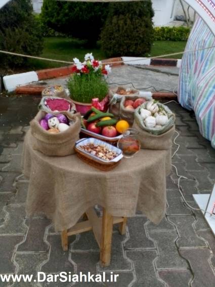 photo470598660840865902