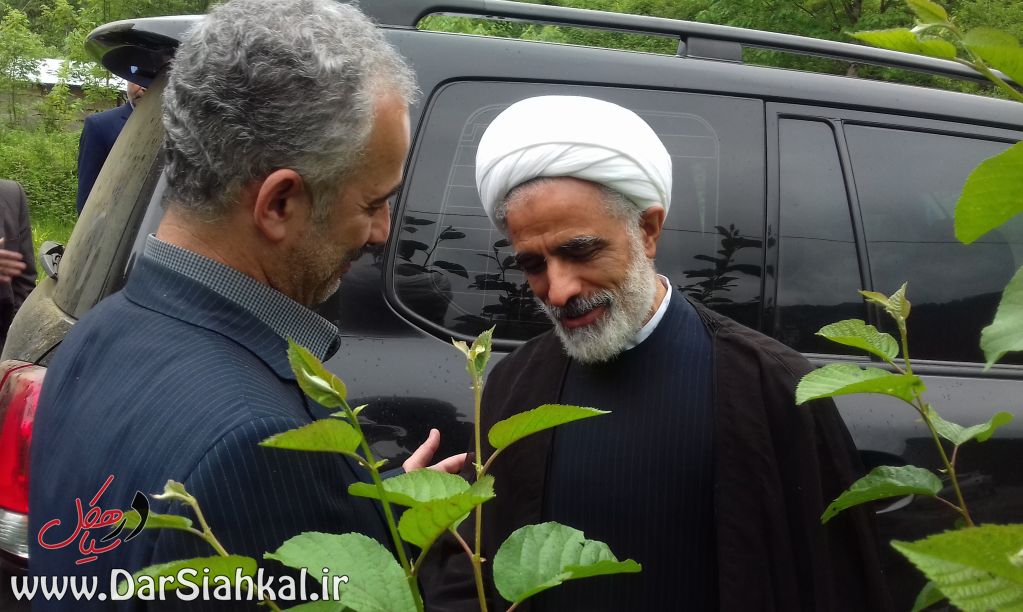 معاون پارلمانی رئیس جمهور از طرحهای جنگلداری دیلمان بازدید کرد+تصاویر