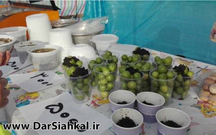 IMG_20160505_182253 copy