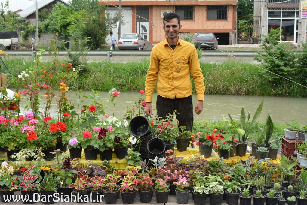 بازار روز هفتگی سیاهکل (۱۳)