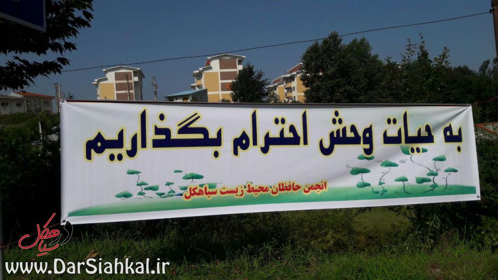 در سیاهکل (۸)