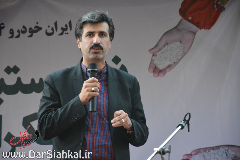 تنها راه اشتغالزایی در گیلان، اهتمام به موقعیت گردشگری است