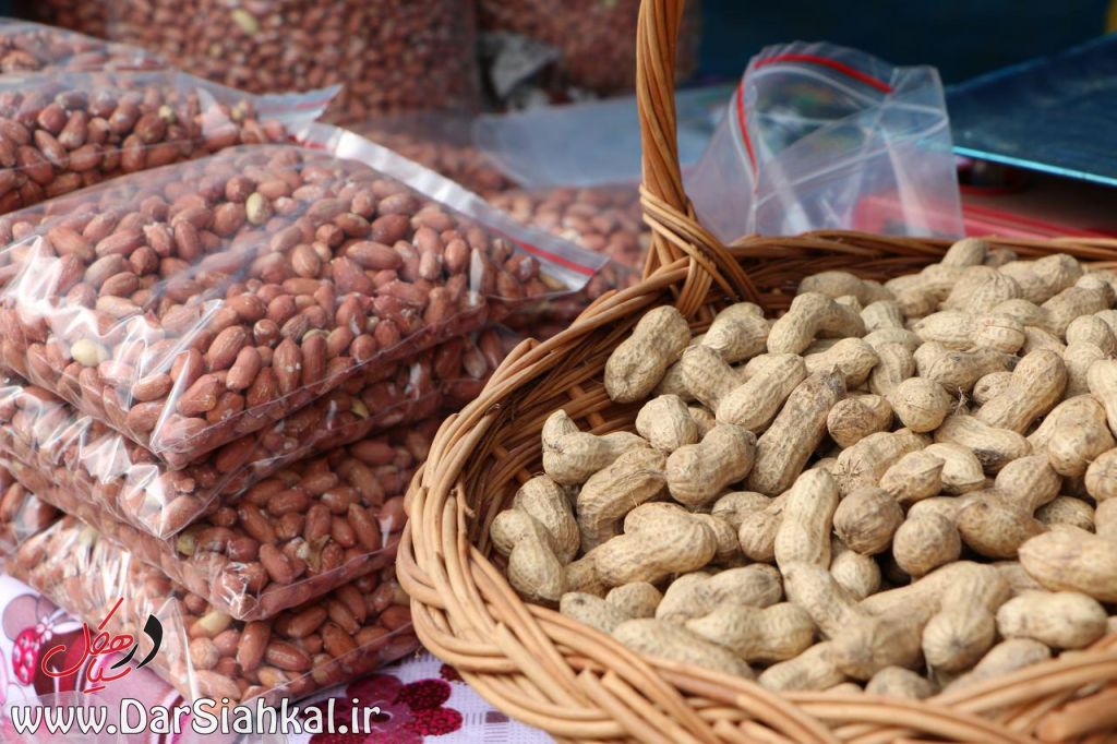 %d8%ac%d8%b4%d9%86%d9%88%d8%a7%d8%b1%d9%87-%d8%a8%d8%a7%d8%af%d8%a7%d9%85-%d8%a2%d8%b3%d8%aa%d8%a7%d9%86%d9%87-7