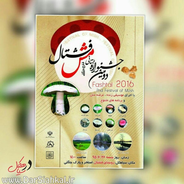 %d9%85%d8%b4-%d9%82%d8%a7%d8%b1%da%86