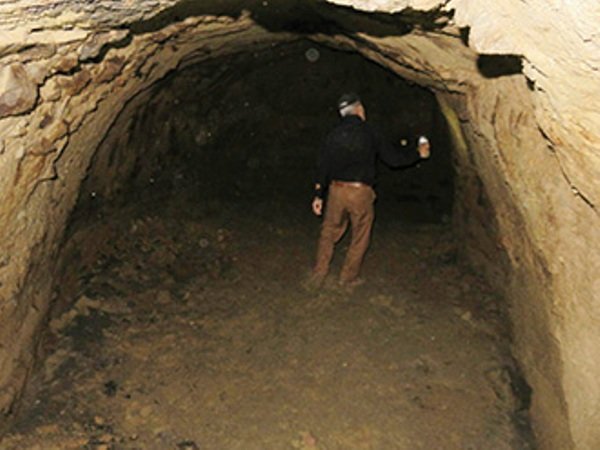 %d8%ba%d8%a7%d8%b1-%d9%85%db%8c%da%a9%d8%a7%d9%84-1