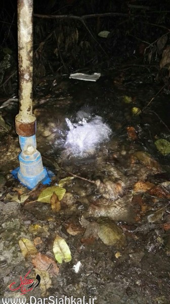 %d8%a2%d8%a8-%d8%af%d8%b1-%d8%b3%db%8c%d8%a7%d9%87%da%a9%d9%84-6