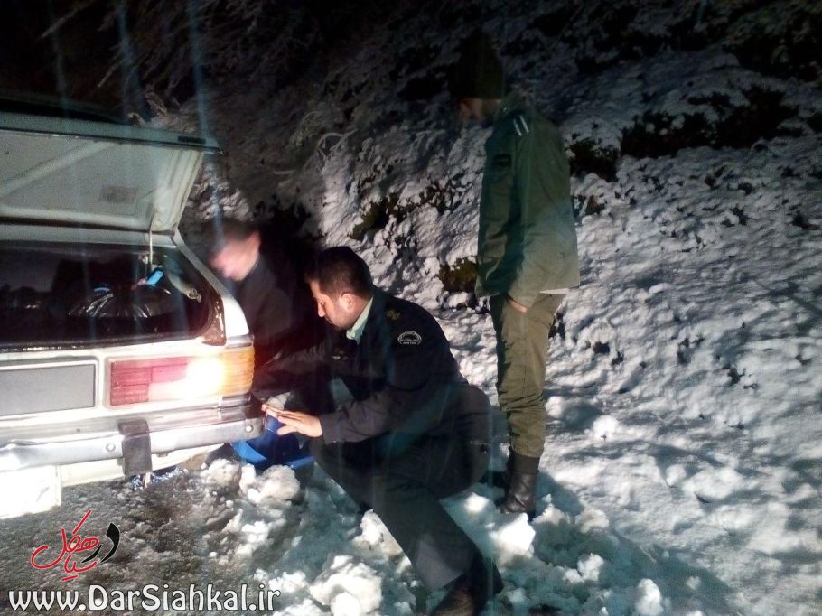 %d8%a8%d8%b1%d9%81-%d8%af%db%8c%d9%84%d9%85%d8%a7%d9%86-3