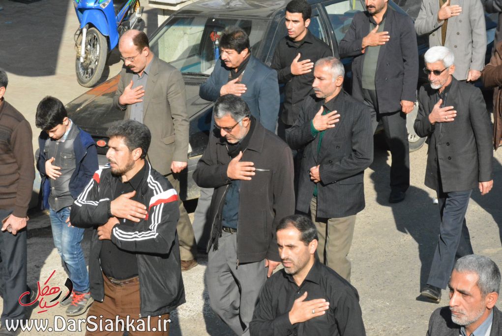 %d8%b9%d8%b2%d8%a7%d8%af%d8%a7%d8%b1%db%8c-%d8%af%d8%b1-%d8%b3%db%8c%d8%a7%d9%87%da%a9%d9%84-15