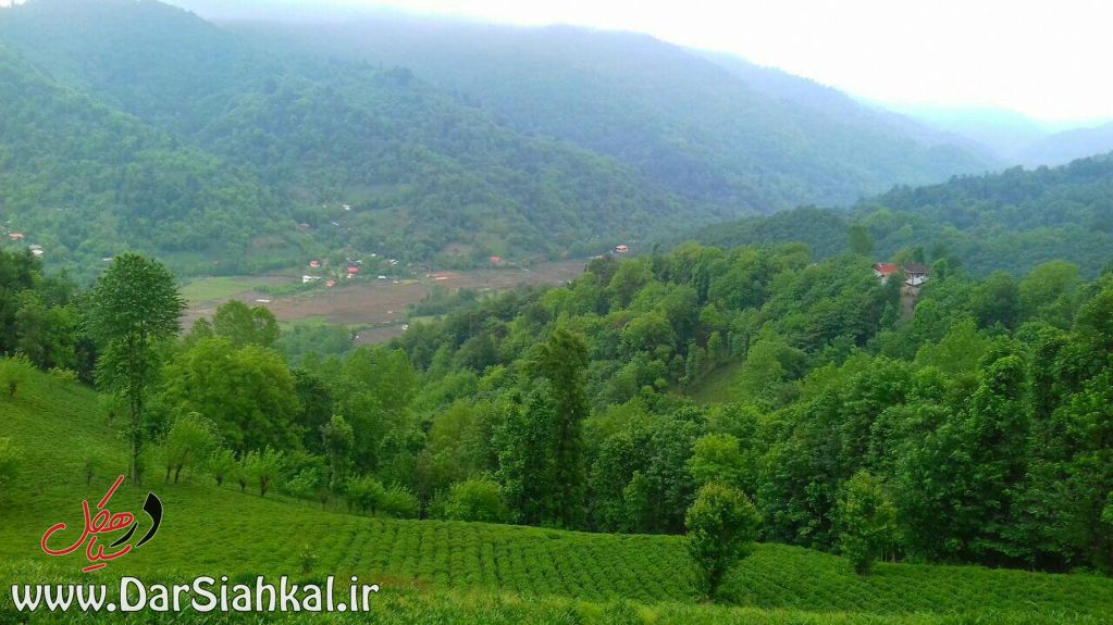 %d8%b7%d8%a8%db%8c%d8%b9%d8%aa-%d8%af%d8%b1-%d8%b3%db%8c%d8%a7%d9%87%da%a9%d9%84-5