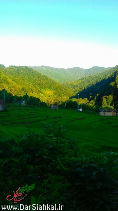 %d8%b7%d8%a8%db%8c%d8%b9%d8%aa-%d8%af%d8%b1-%d8%b3%db%8c%d8%a7%d9%87%da%a9%d9%84-6