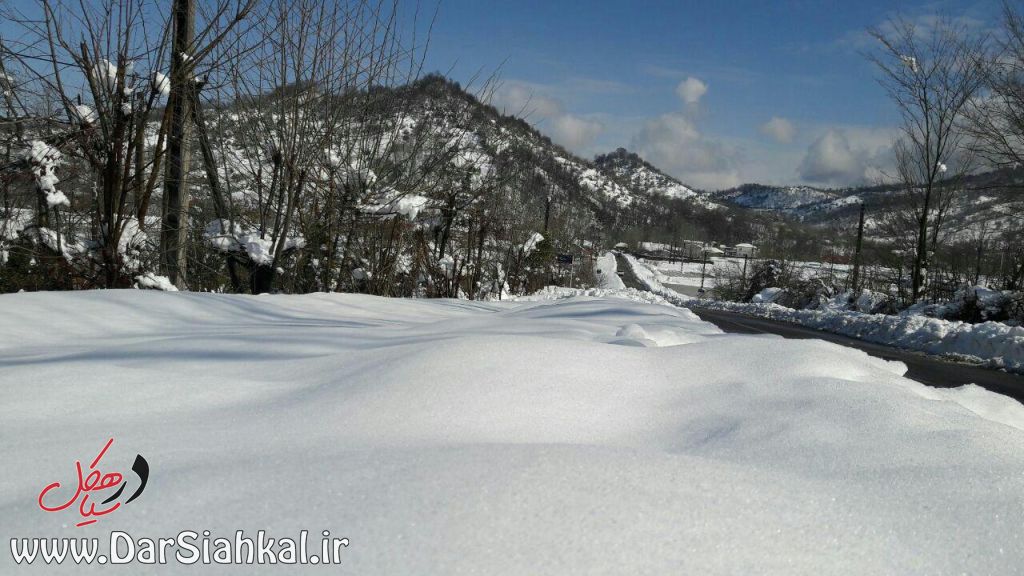 برف سیاهکل و دیلمان (۱۷)