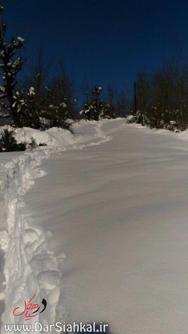 برف سیاهکل و دیلمان (۱۸)