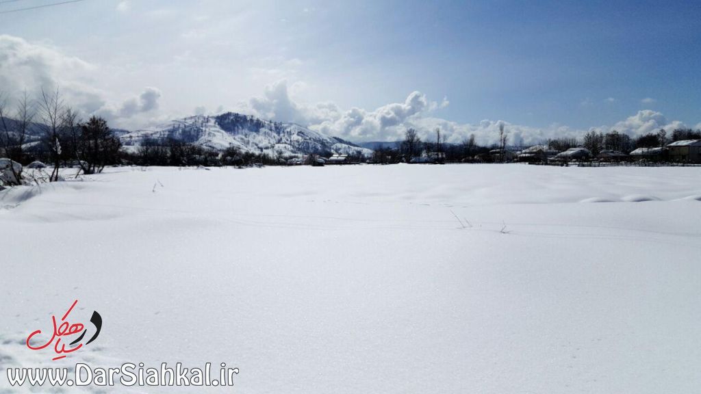 برف سیاهکل و دیلمان (۲۰)