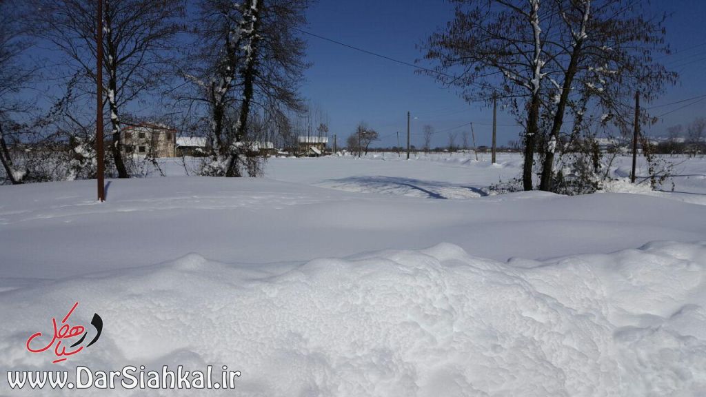برف سیاهکل و دیلمان (۲۲)
