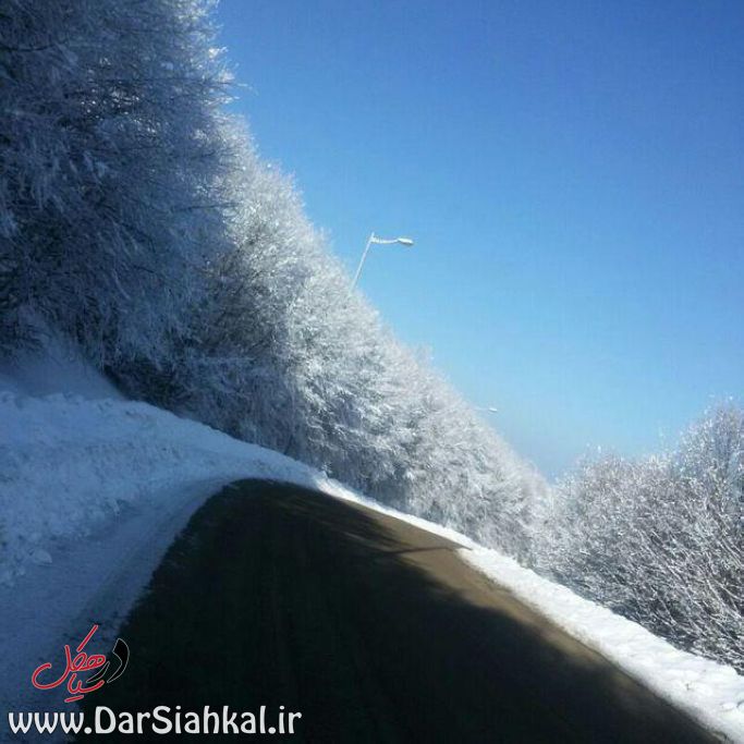 برف سیاهکل و دیلمان (۵)