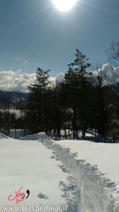 برف سیاهکل و دیلمان (۸)