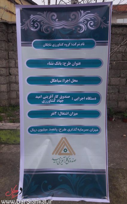 سیاهکل (۱۲)