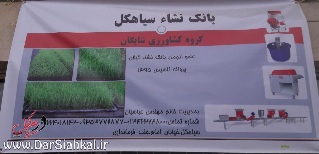 سیاهکل (۱۳)
