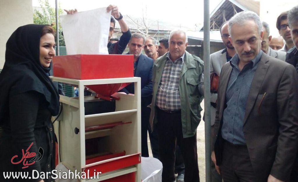 اولین بانک نشاء سیاهکل افتتاح شد+گزارش تصویری