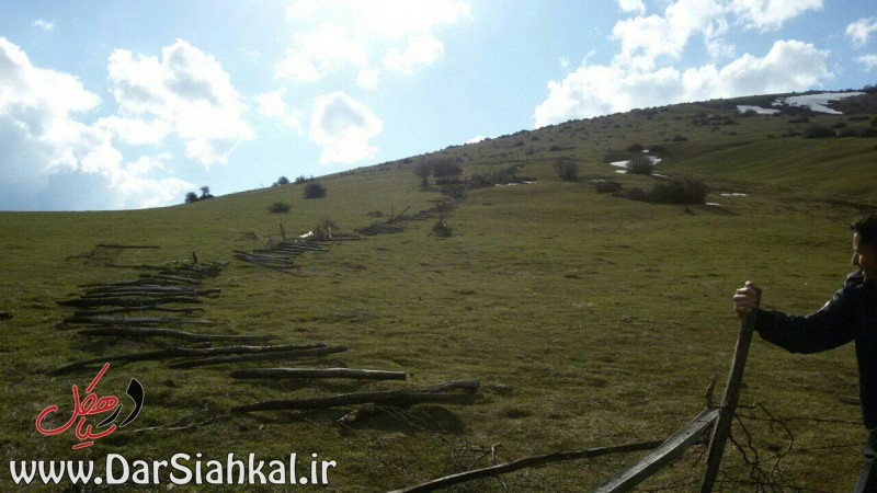 رفع تصرف ۴۵ هزار متر از اراضی ملی در سیاهکل