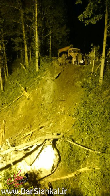 تصادف بونکر (۲)