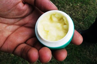 ژل رویال صنعتی به‌صورت انبوه در سیاهکل برداشت شد