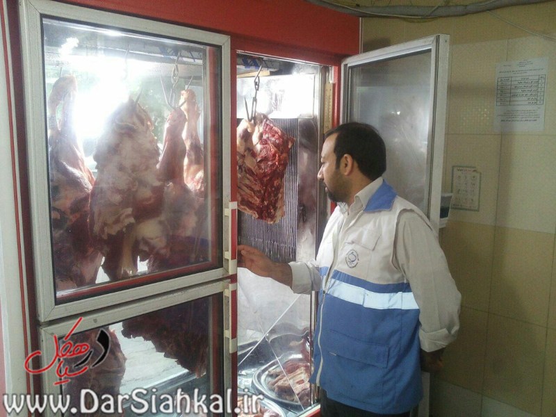 بازرسی شبکه بهداشت سیاهکل (۱۴)