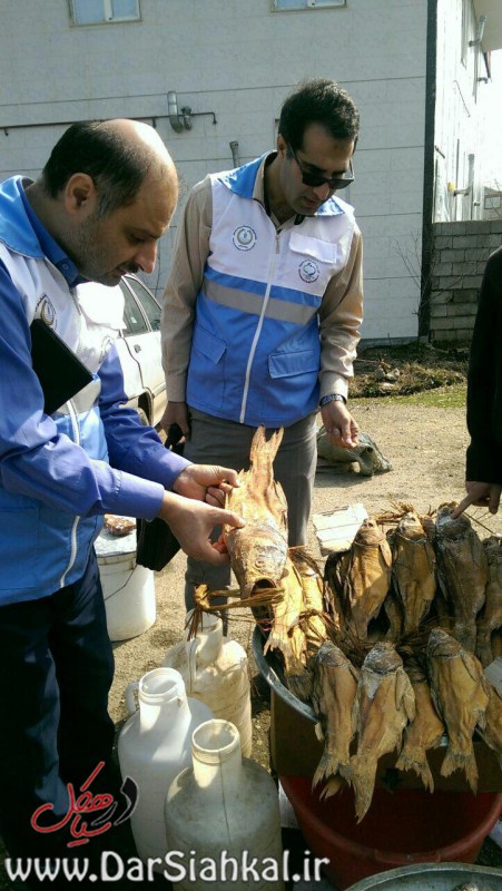بازرسی شبکه بهداشت سیاهکل (۳)