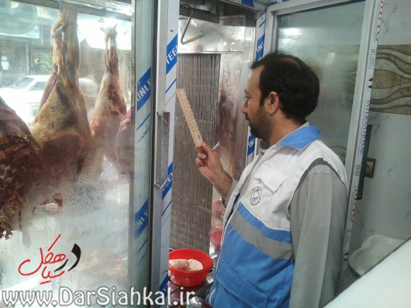 بازرسی شبکه بهداشت سیاهکل (۴)