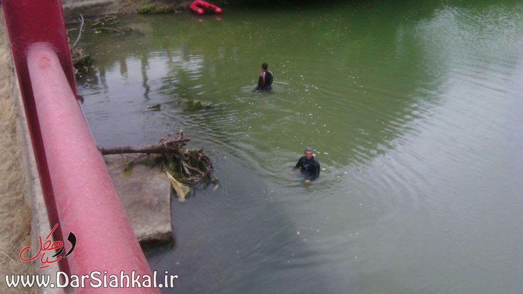 تجسس پیدا کردن مرد غرق شده در دیسام (۱۶)