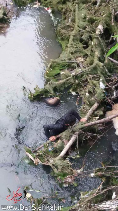 تجسس پیدا کردن مرد غرق شده در دیسام (۱۷)