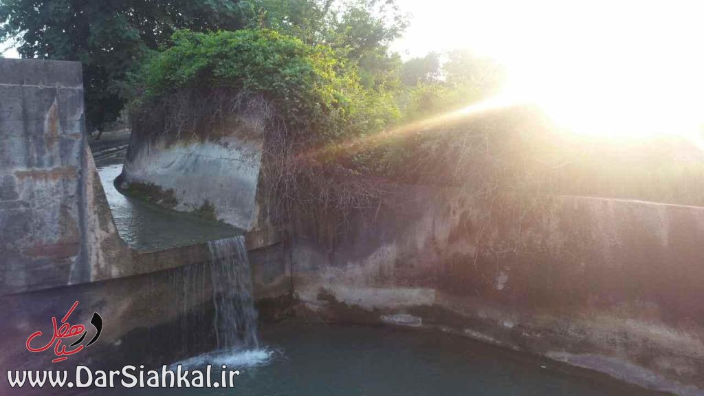 تجسس پیدا کردن مرد غرق شده در دیسام (۳۱)