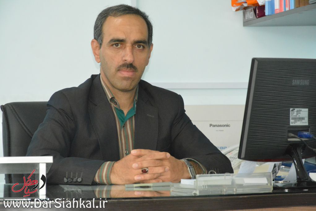 رفع تصرف ۲۸ هکتار از اراضی ملی در سیاهکل/ کشف ۲۵ مترمکعب چوب قاچاق در سیاهکل+عکس